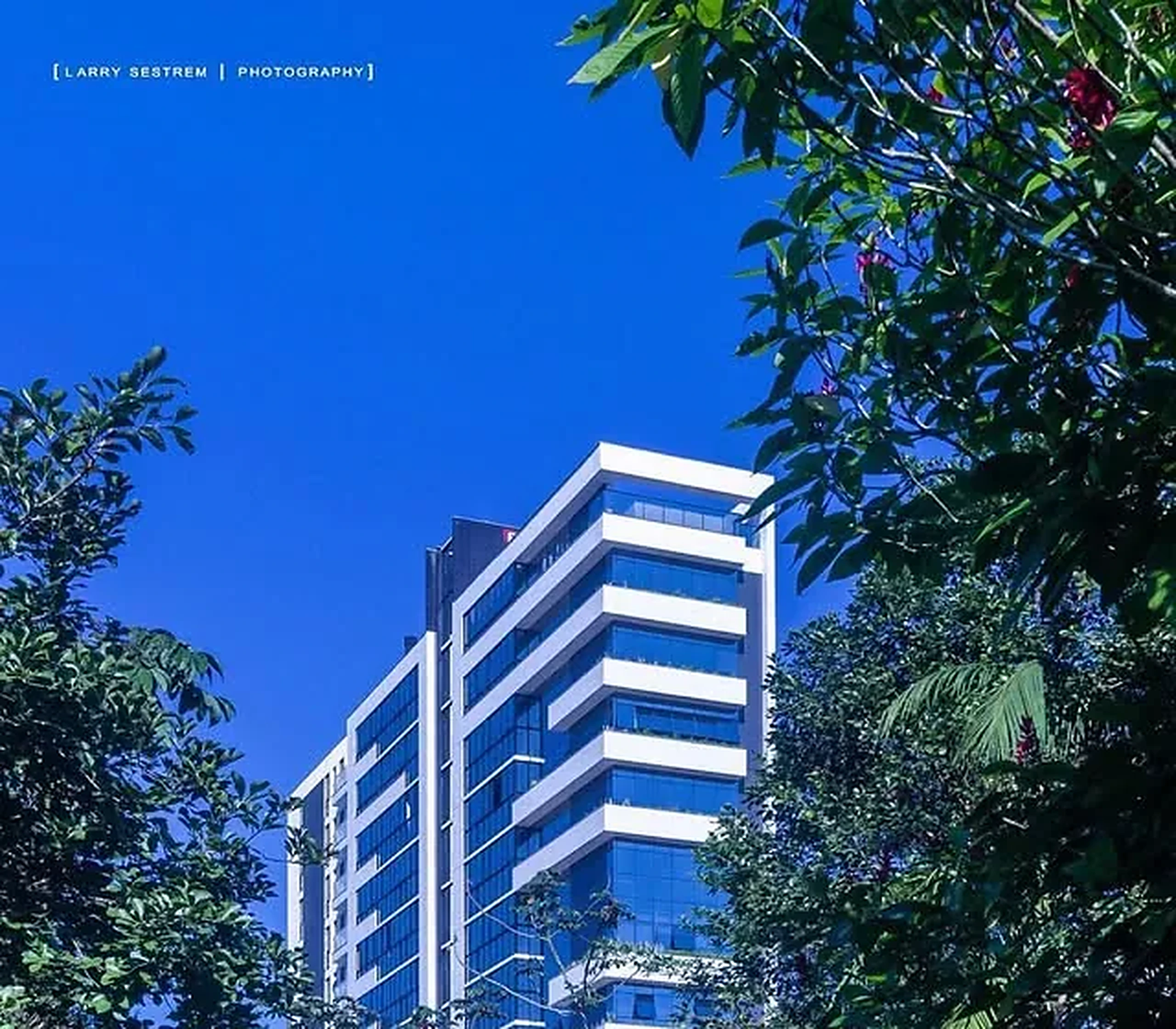 Edifício Estrutura visto entre árvores, fachada branca e vidro azul
